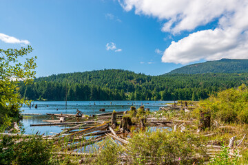 Naklejka premium Beautiful Lake Cowichan in Canada.