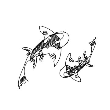 Koi fish black and white sketch design with a transparent background