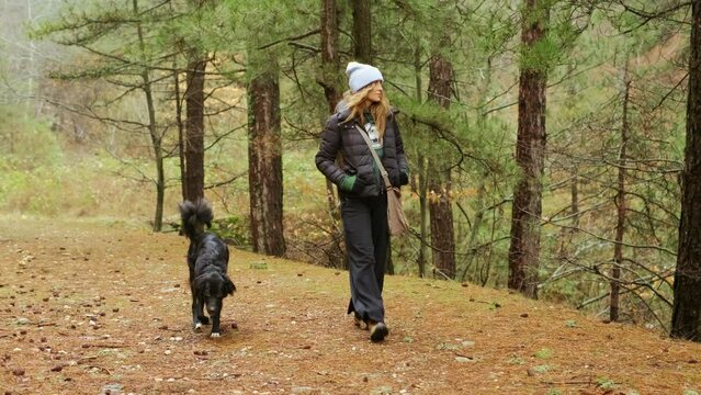 Woman walks in the green forest with her black dog, enjoying and spending time together in nature. landscape view. slow motion. 4K. 1