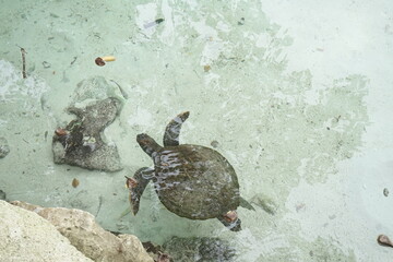 Obraz premium Beautiful scene of scenery during the day 