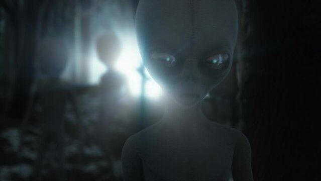 Chilling 3D CGI close-up of classic Roswell style grey aliens standing ominously silhouetted by a mysterious glaring white light, in the middle of a dark and eerie forest at night
