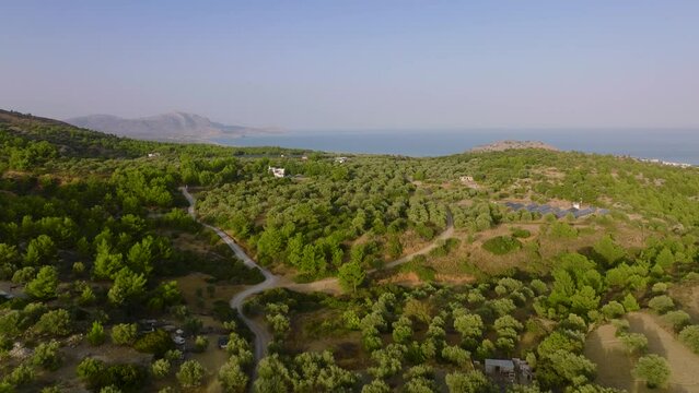Aerial riser reveals vast olive groves close to Rhodes coastline, Pilonas, Greece