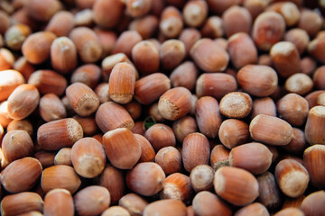 Photo of a hazelnut. The concept of an autumn background made of hazelnuts, healthy, organic brown hazelnuts. Food background.