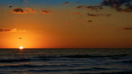 Fototapeta premium Sun Setting into the Gulf of Mexico off Siesta Key Florida