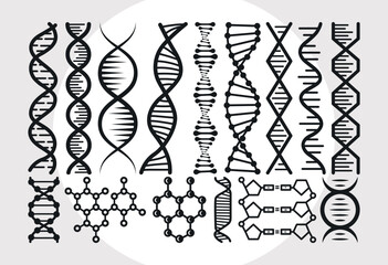 DNA SVG Bundle, DNA Molecule Svg, Genetic Svg, Gene Svg, DNA Strand Svg, Medical Svg, DNA Model Svg, DNA Structure Svg