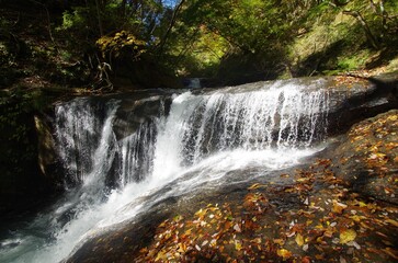 Obraz premium 阿武隈渓谷 一休みの滝