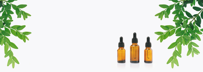 Natural medicine or aroma oil or beauty essence concept mockup three vials with dropper with droplet on glass stand with green plant and white background. Face and body spa serum care fresh concept