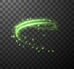 Fotobehang Green spiral spring wind effect with magic dust particles flying around and leaves particles on black background. Vector eps10 © Saibarakova Ilona