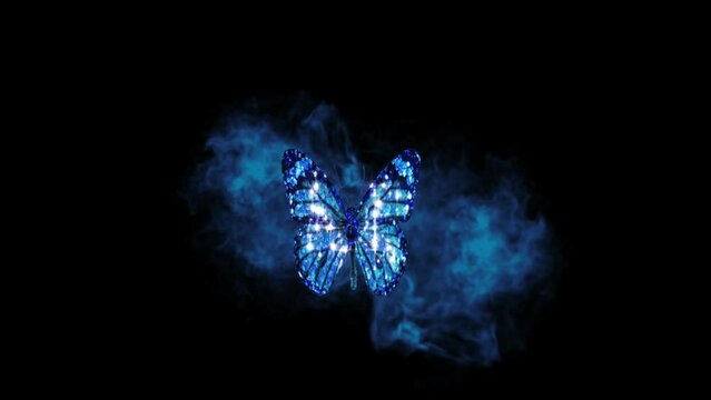 flying butterfly flickering animation.Beautiful 3d animation with passing shadows and global illumination.4K