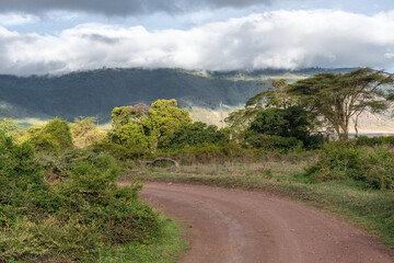 Ngorongoro Crater. Safari in Tanzania, Africa