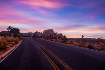 Road trip with Joshua trees at   sunset landscape around. California, USA.