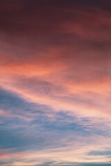 Beautiful vertical background and texture of sunset colors in a cloudy evening sky