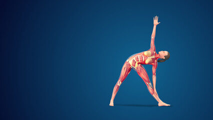 3D human Trikonasana or Triangle pose on blue background