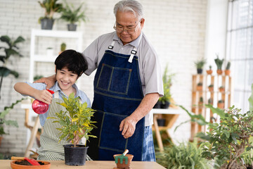 Grandfather gardening and teaching grandson take care  plant indoors