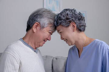 Lovely Asian senior couple touching each other face to face at home. Portrait of romantic senior man with his wife at home.