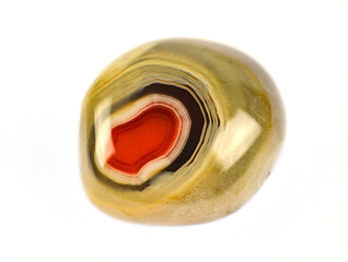 close up on Botswana agate isolated on white background