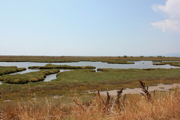 Delta Evros National Park, Evros Thraki Greece