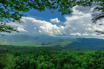 Fototapeta na wymiar Panorama of Beautiful Mountain forest
