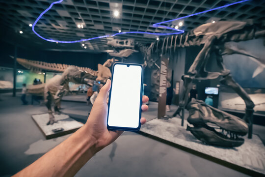 26 July 2022, Munster Natural History Museum, Germany: Visitor hand with blank smartphone screen at the Exhibition of fossiled skeletons dinosaurs
