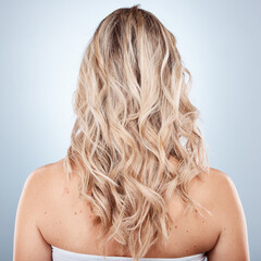 Fototapeta premium Hair care, beauty and back of woman in studio on a gray background. Balayage, hairstyle and female model with long, blonde and healthy hair after salon or cosmetics hair treatment for hair texture.