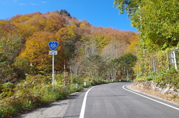 秋の国道400号