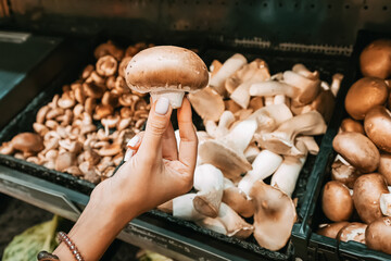 Female hand choosing fresh seasonal mushroom at the market or shop