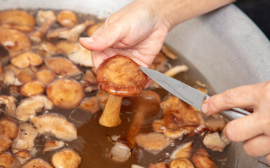 Cleaning mushrooms with a knife.