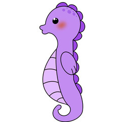 sea ​​horse illustration