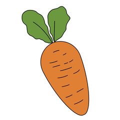 carrot illustration