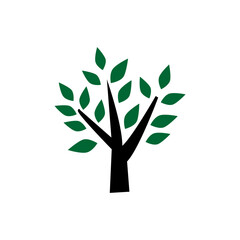 Shady tree vector illustration