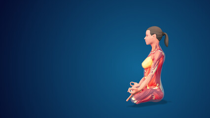 3D human Siddhasana with hand mudra yoga Pose on blue background