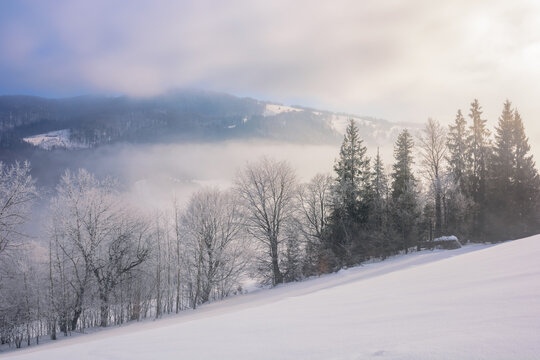 gorgeous winter landscape in mountains. trees in hoarfrost on the steep snow covered slope. fog in the valley and clouds above the distant ridge at sunrise