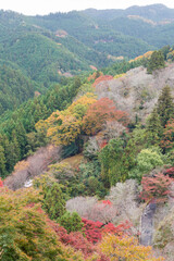 秋の吉野山