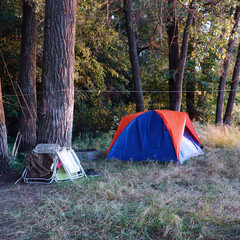 Tourist tent on the background of the forest