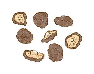 Dried Shiitake Mushroom from different angles in flat illustration art design