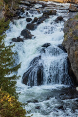 Fototapeta premium Firehole falls at Yellowstone national park. USA.