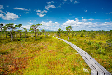 Kemeri bog National Park, Latvia