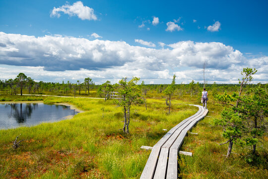 Kemeri bog National Park, Latvia