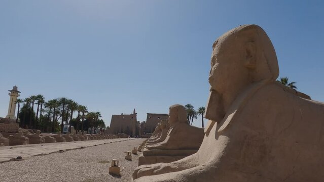 Avenue of Sphinxes known as Rams Road with sphinxes and ram-headed statues lined up on both flanks