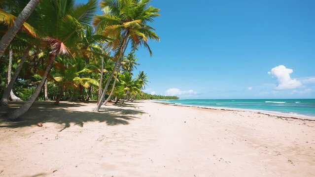 Empty tropical beach with tall palm trees and white sand. Seamless loop of sea turquoise waves on Bahama beach. Landscape of wild nature. Palm tree shadow on white sand.