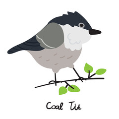 Coal tit on branch. Illustration on white background.