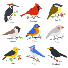 Fototapeta premium Birds on branches. Collection of flat vector illustrations on white background.