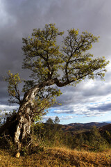 Obraz premium Paysage de Madgascar