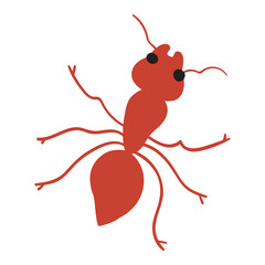 Insects. Ant. Flat vector graphic design on white background.