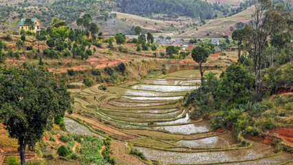 Cultures en terrasses à Madagascar