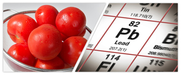 HACCP (Hazard Analyses and Critical Control Points) - Food Safety and Quality Control in food industry - Risk of lead in tomatoes concept