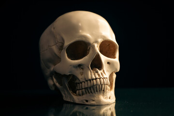 Human skull on a black background.
