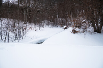 Paesaggio di montagna sul Monte Sirino in Basilicata. Foto scattata per un panorama con alberi e neve subito dopo la fine di una nevicata intensa.