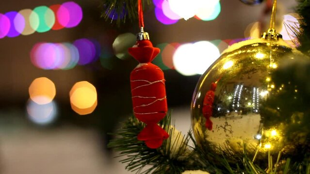 A New Year's candy hanging on a branch of a Christmas tree