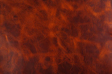 Obraz premium Vintage genuine leather pull-up texture.